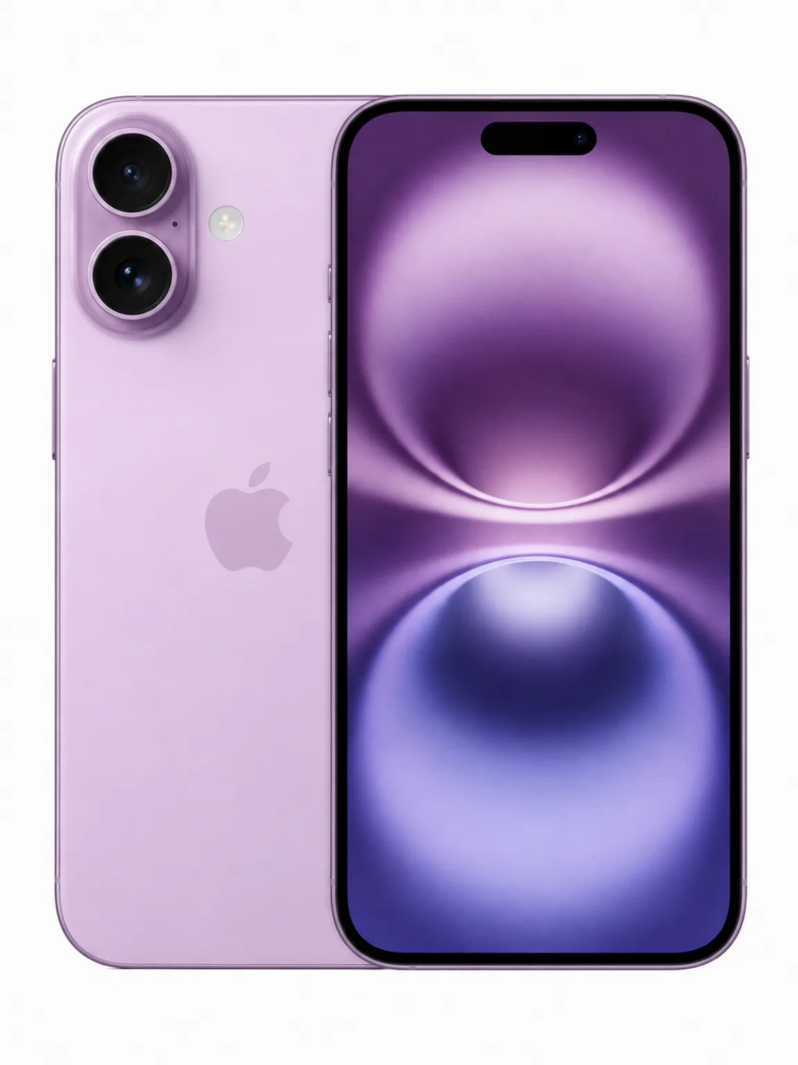 iPhone 16, המסך והגב